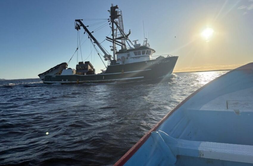  Decomisa Conapesca Más de Cinco Mil Toneladas de Producto Pesquero Ilegal en 11 Meses