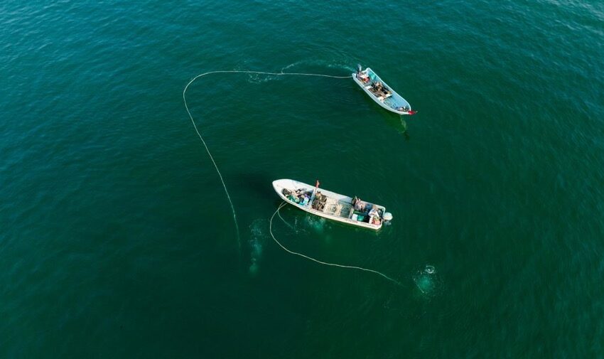  Concluye con éxito la campaña de limpieza del fondo de la bahía – Ixtapa y Zihuatanejo