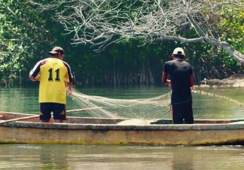  Mal tiempo por frentes fríos, baja la pesca en la costa chiapaneca – Meganoticias