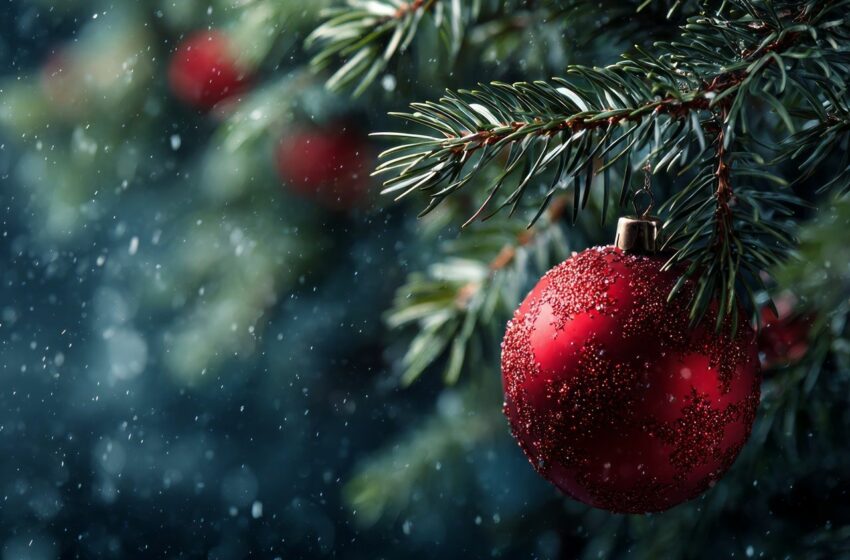  Nochebuena y Navidad para todos los gustos en México: con calor, lluvias y frío pasaremos …