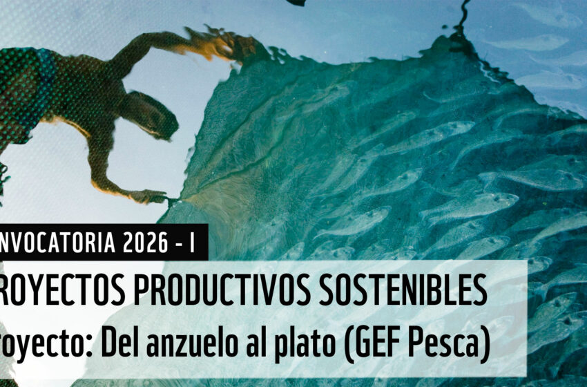  Convocatoria 2026-I: Proyectos productivos sostenibles – Del anzuelo al plato – GEF Pesca