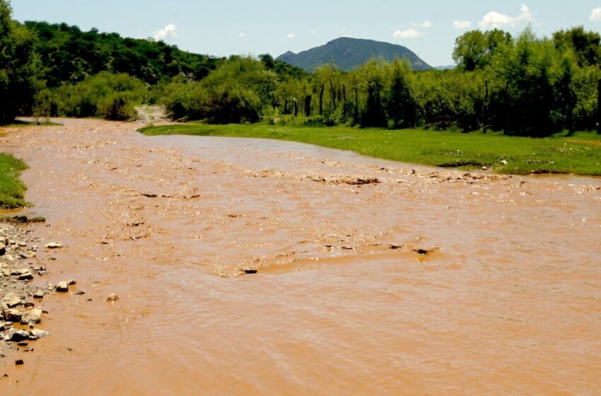  La lucha por limpiar el Río Sonora celebra una victoria ante años de lodo de Larrea
