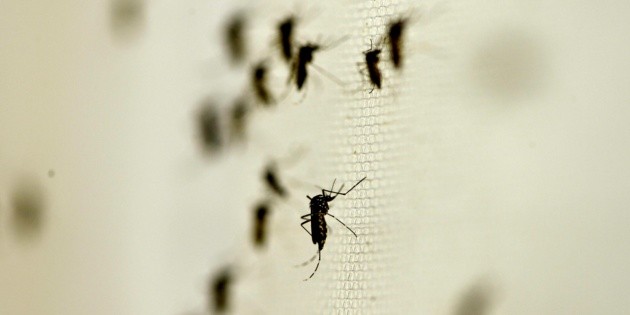  Secretaría de Salud confirma nuevos casos de chikungunya