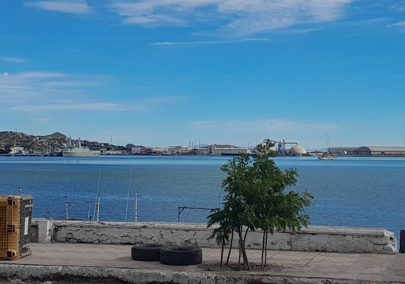  Sector pesca vive un año complicado, no hay atención del gobierno – Meganoticias