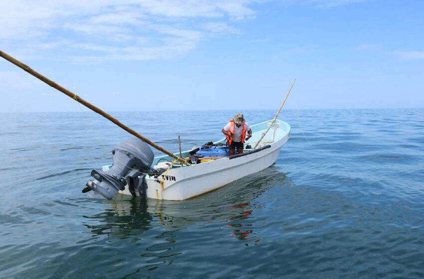  Convocan al premio de pesca y acuacultura ejemplar – Quadratín Yucatán