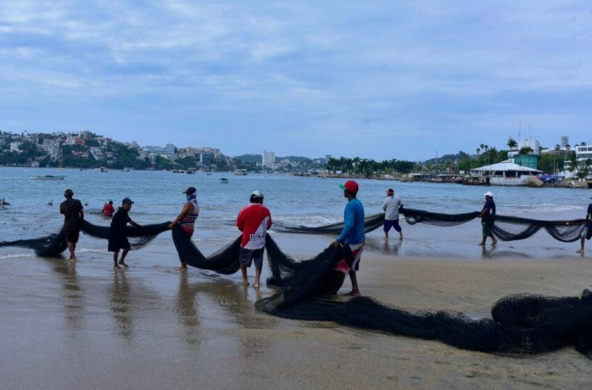  Oceana pide apostar por la pesca ribereña como eje de la conservación marina