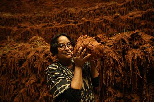  Delcy Morales lleva la naturaleza a la sala 9 del MUAC