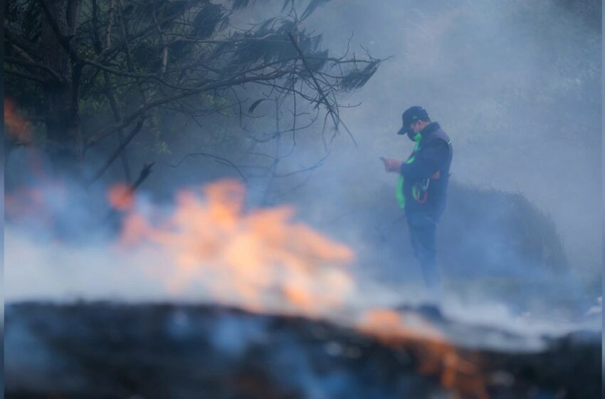  CAR y Fuerza Pública logran 73 capturas en ofensiva contra la minería ilegal