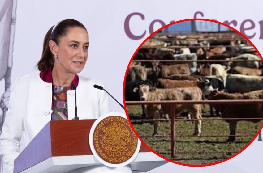  Gobierno Federal destinó 2 mil 181 mdp para ganaderos de Sonora, Durango y Coahuila …