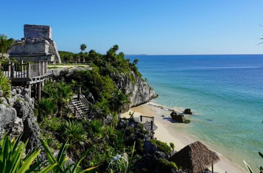  Innovación climática para mares y agua desde los márgenes – El Financiero