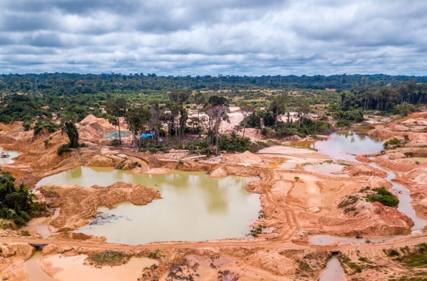  Minería informal: el alto costo ambiental y social que frena la sostenibilidad del Perú