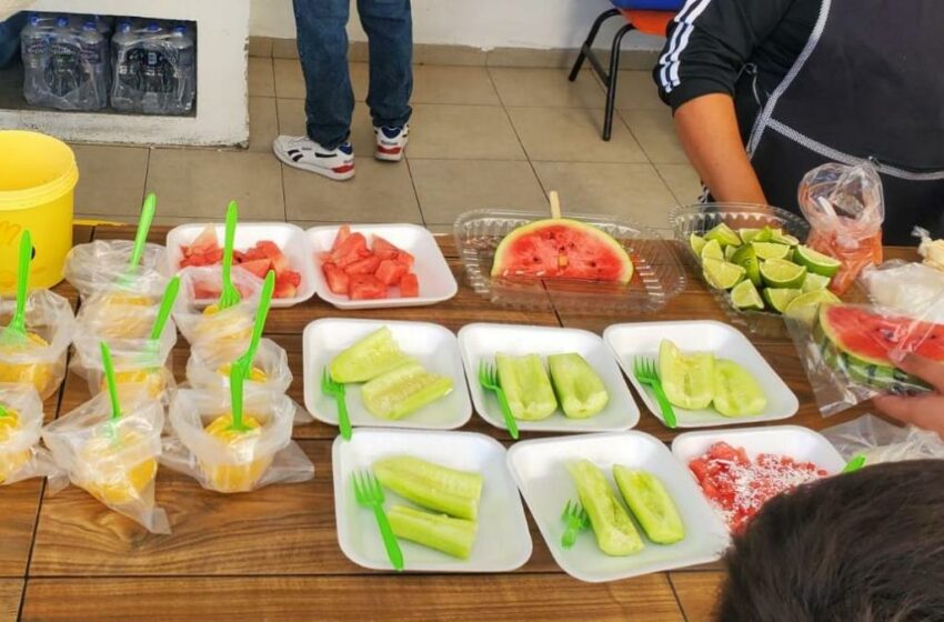  La OMS llama a reforzar la alimentación saludable en escuelas de todo el mundo