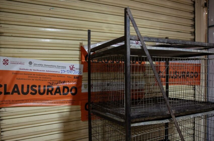  Sin venta de animales, formalizan apoyos a locatarios del Mercado Sonora en CDMX