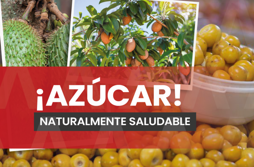  Frutas, menos agresivas y tan efectivas como los medicamentos – Alerta Chiapas