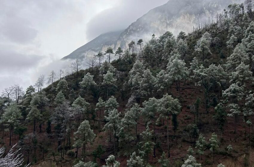  Hermosas postales y videos de las nevadas de hasta -20 °C que provocó el Frente Frío 27 …