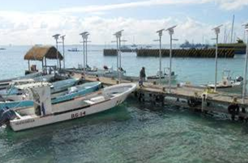  Conapesca registra avances en pesca sostenible en 2025 – Sinaloahoy