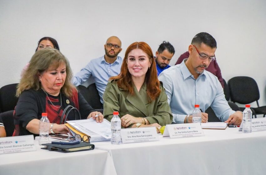  Pesca de camarón en Sinaloa deja más de 7 mil 800 toneladas en 115 días de temporada