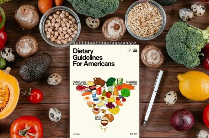  Redefine su enfoque sobre la alimentación – Diario de Yucatán