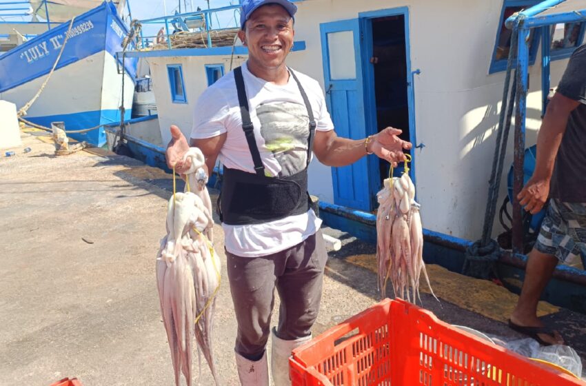  Meta pulpera rebasada – Diario de Yucatán