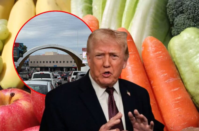  Si vas a Estados Unidos solo podrás cruzar estos alimentos, verduras y carnes para evitar …