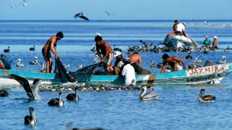  La pesca del 2025 logró cubrir la demanda nacional como internacional – Yucatánalamano