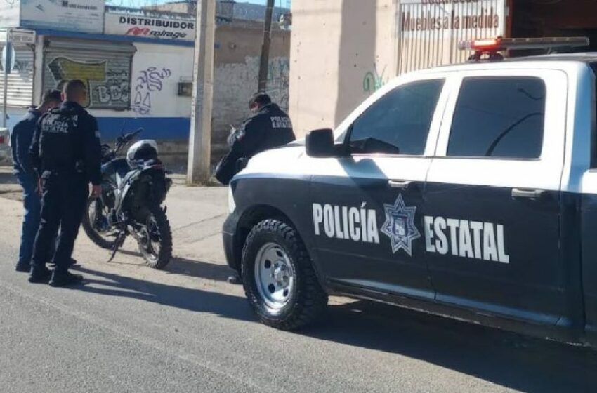  Sonora logra avances en agricultura, ganadería y pesca – Telemax