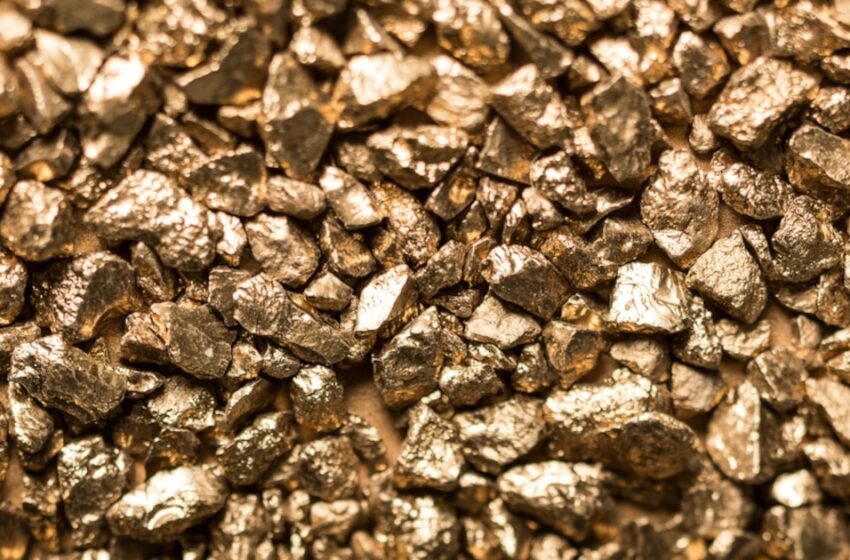  Las recaudaciones estatales alcanzan crecimiento interanual impulsado por el sector … – Infobae