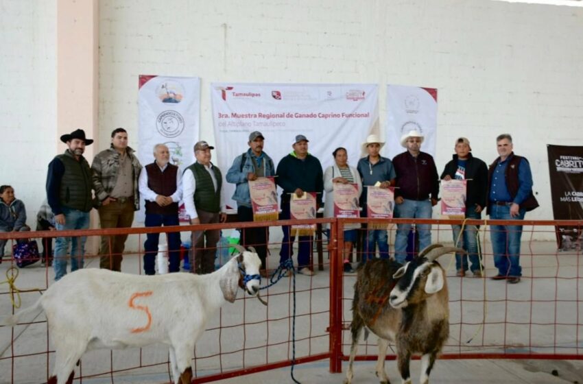  Caprinocultura y valor agregado, ejes del Festival del Cabrito 2026