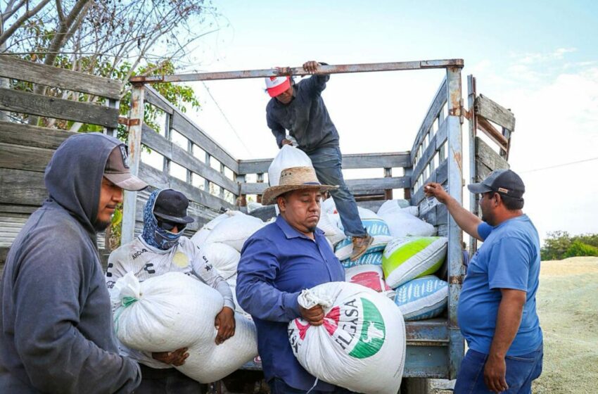  SAGADEGRO supervisa el programa de estabilización de la masa y la tortilla – Diario 21