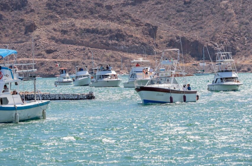  DOF fija cuotas de captura de curvina golfina para la temporada de pesca 2026 en el Alto …