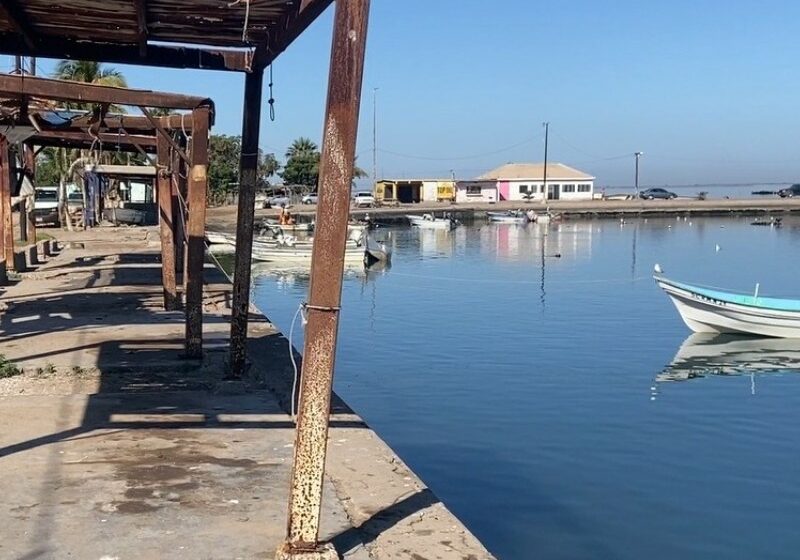  Consideradas las actividades más productivas del sur de Sonora ahora en crisis