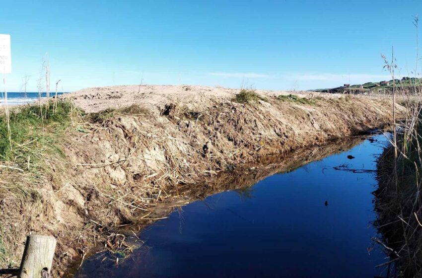  La plataforma Salvar Oyambre denuncia una grave agresión ambiental sobre el sistema dunar