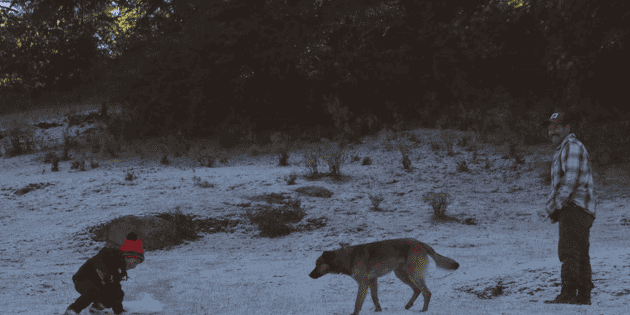  ¿Dónde caerá nieve en México este fin de semana?