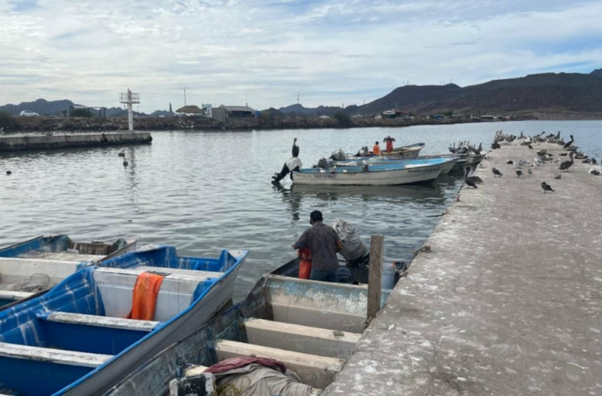  Ribereños de Guaymas y Empalme ven un mal panorama en el sector pesquero para este 2026