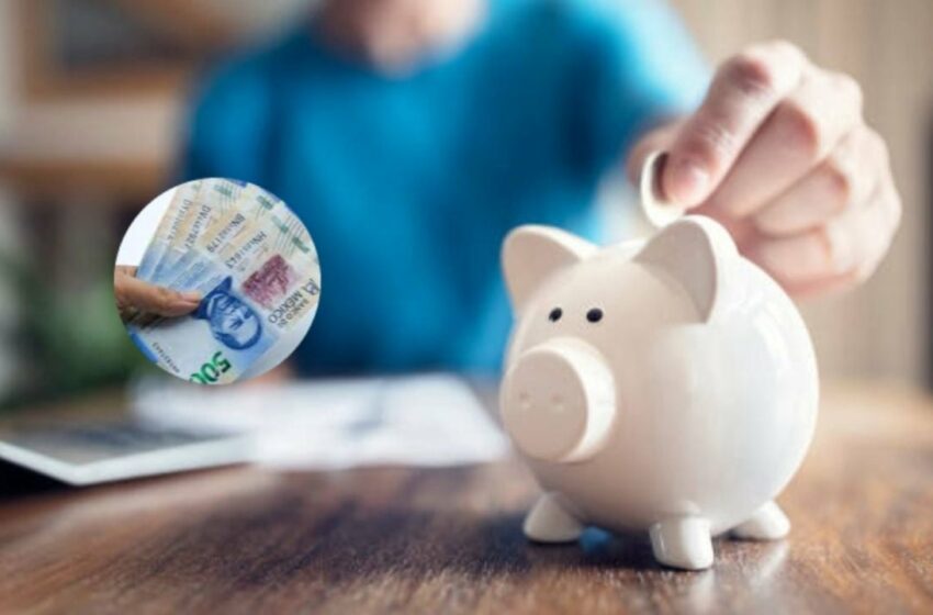  ¿Qué es el reto gasto cero? Profeco lanza nuevo método de ahorro | La Silla Rota