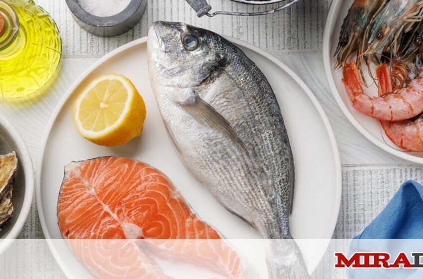  Más omega 3, menos mercurio: guía para elegir pescado de forma saludable