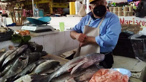  Ubican a Chiapas como el Quinto Productor Nacional de Pescados y Mariscos