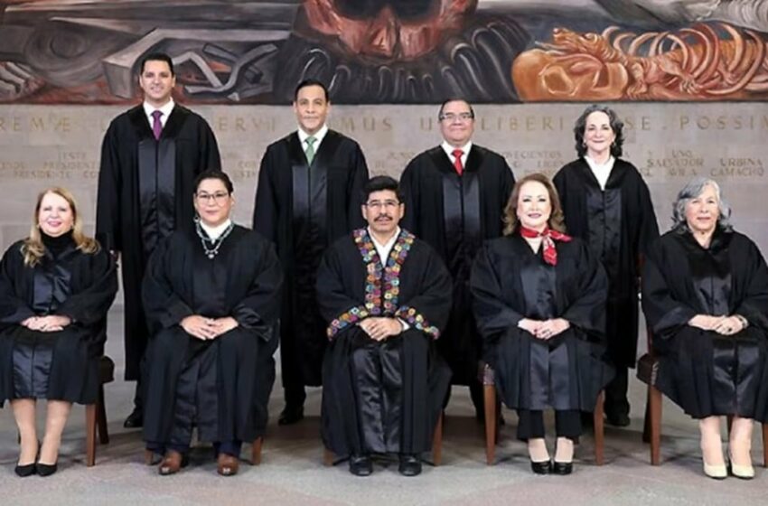  SCJN garantiza el derecho de infancias a recibir alimentos desde el nacimiento: SIPINNA