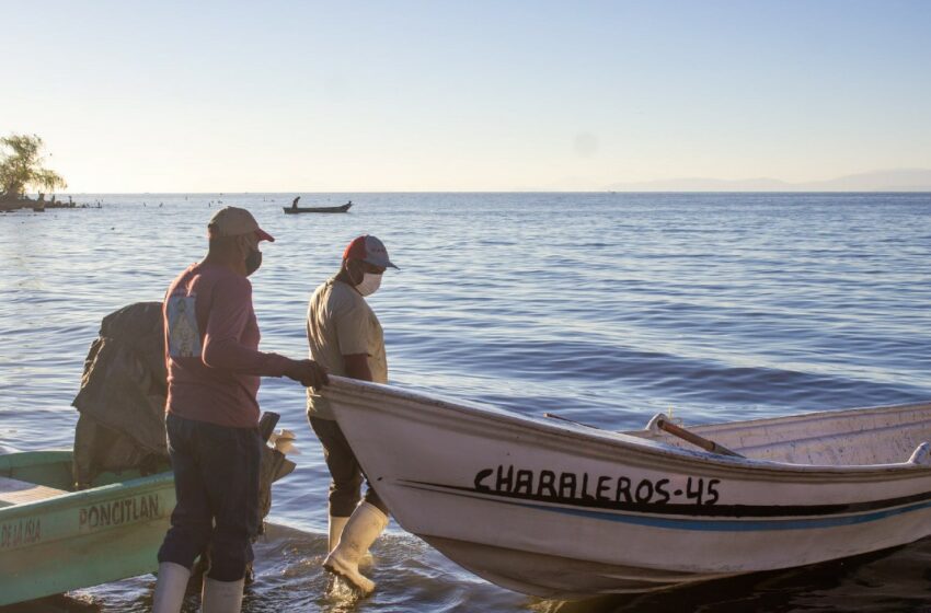  Conapesca activa financiamiento para acuacultura- Grupo Milenio