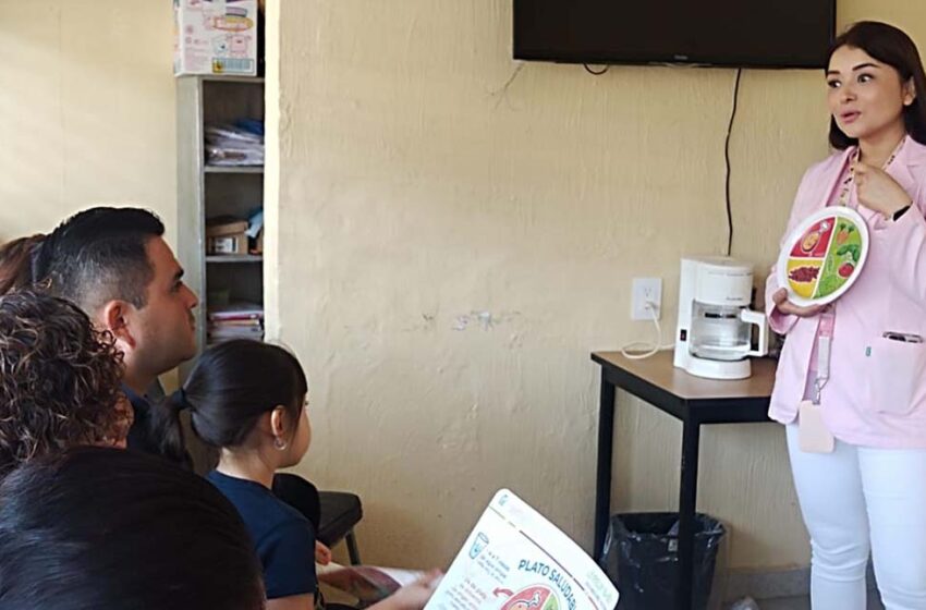  Promueve el IMSS método del plato saludable – Meridiano.mx