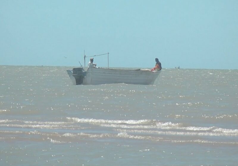  Sector pesquero del Golfo sostendrán reunión con titular de CONAPESCA – Meganoticias