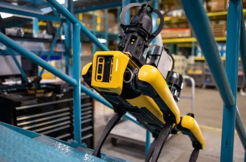  Los 'roboperros' de Hong Kong ya tienen un nuevo objetivo: cuidar del medio ambiente de la ciudad