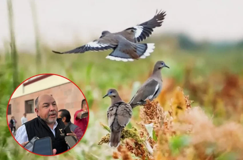  Tamaulipas arranca el 2026 como líder en Turismo Cinegético y Pesca Deportiva