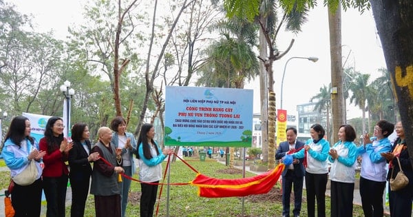  Las mujeres de la capital siembran semillas verdes, protegiendo el medio ambiente … – Vietnam.vn