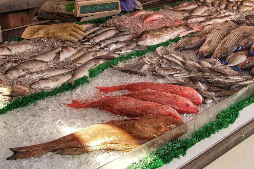  No compres almeja chocolata durante la Cuaresma: por qué está prohibida su venta y …