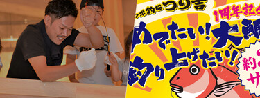  España va a seguir pescando anguilas hasta que ya no nos queden anguilas que pescar