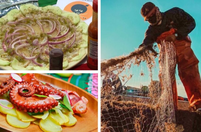  Le va bien a la pesca en Cuaresma, con picos en venta y consumo – Punto MX