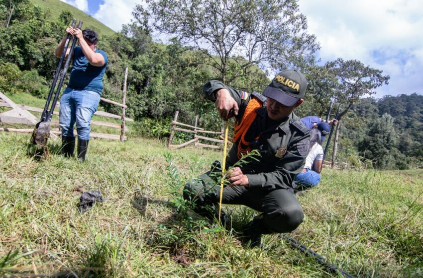  Secretaría de Medio Ambiente impulsa recuperación ambiental en Río Blanco