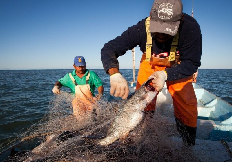  Advierten del impacto negativo de la pesca furtiva