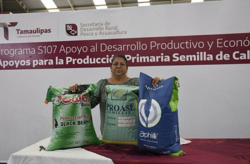  Productores podrán acceder a apoyos de semilla para cultivos estratégicos